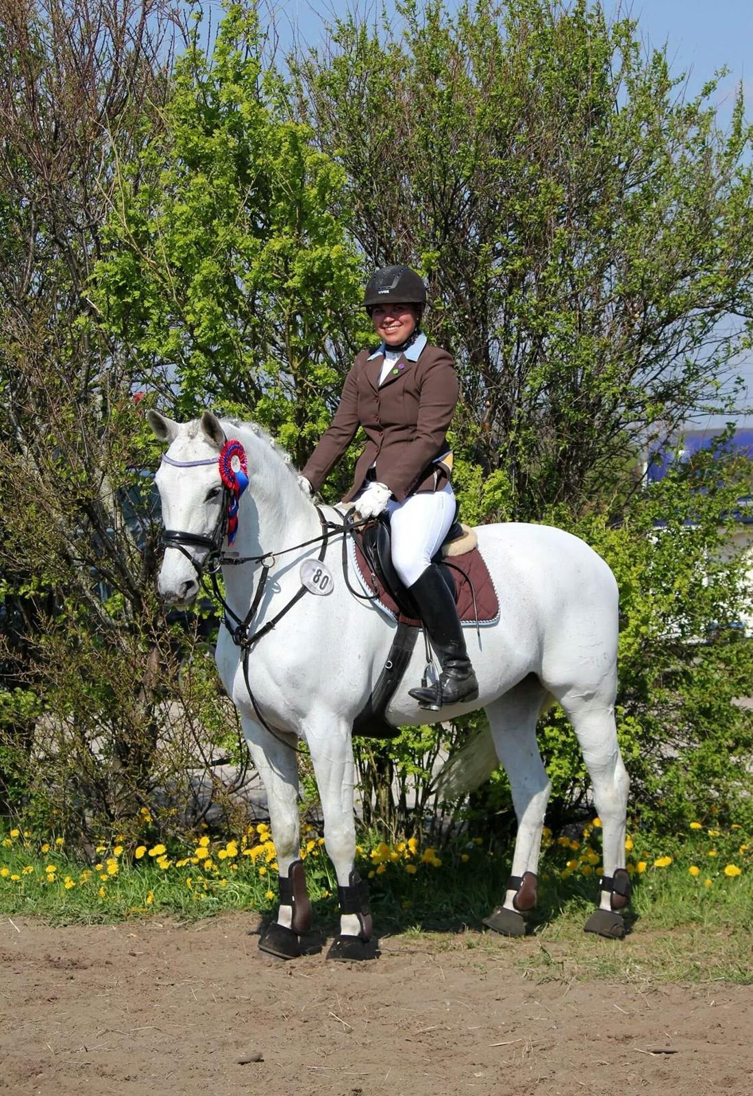 Dansk Varmblod La-troya - 9604749 billede 1