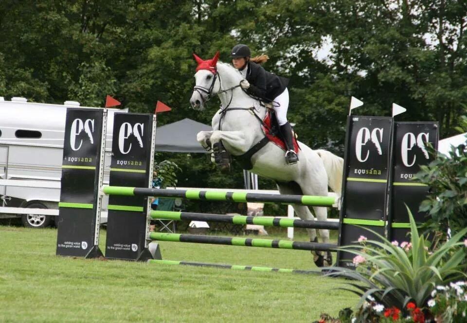 Dansk Varmblod La-troya billede 13