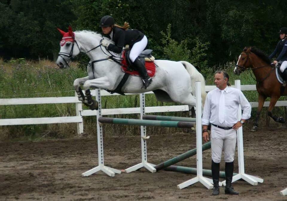 Dansk Varmblod La-troya billede 14