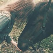 New Forest Chanel af lindbjerghus