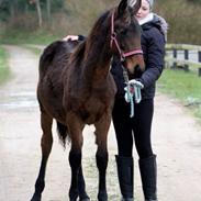 Anden særlig race Kastaniely's little surprise