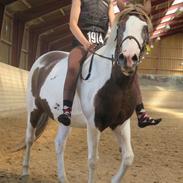 Pinto Karea Nyberg (Min engel <3)