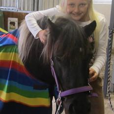 Anden særlig race Mithel