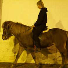 Islænder Herdis fylleleddet