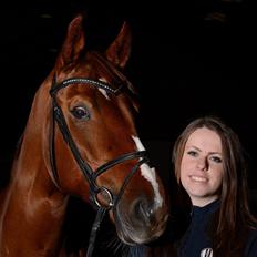 Dansk Varmblod Monique