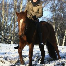 Anden særlig race | Galina Desire