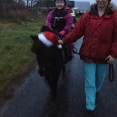 Anden særlig race Louie ( Herkules hos forige ejer )