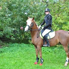 Anden særlig race Lac Lemon Lakriz ( soulmate)