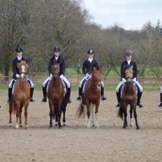 Anden særlig race Patricia