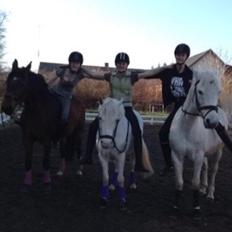 Anden særlig race Patricia