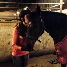 Anden særlig race Patricia