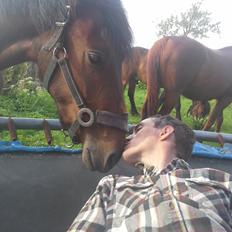 Anden særlig race Højersmindes Ofelia