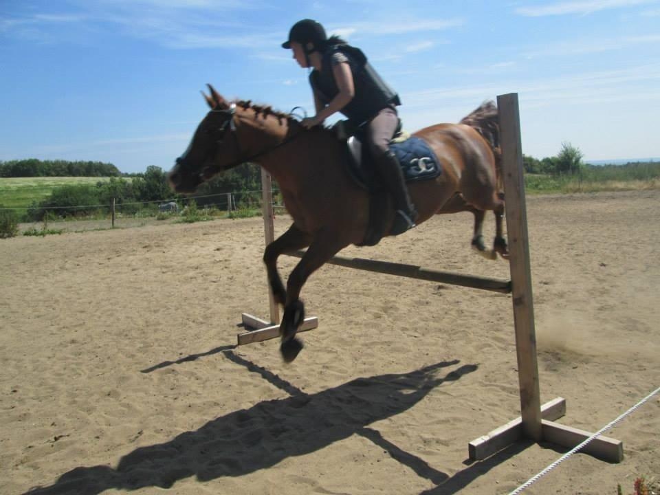 Anden særlig race Cherie <3 billede 5