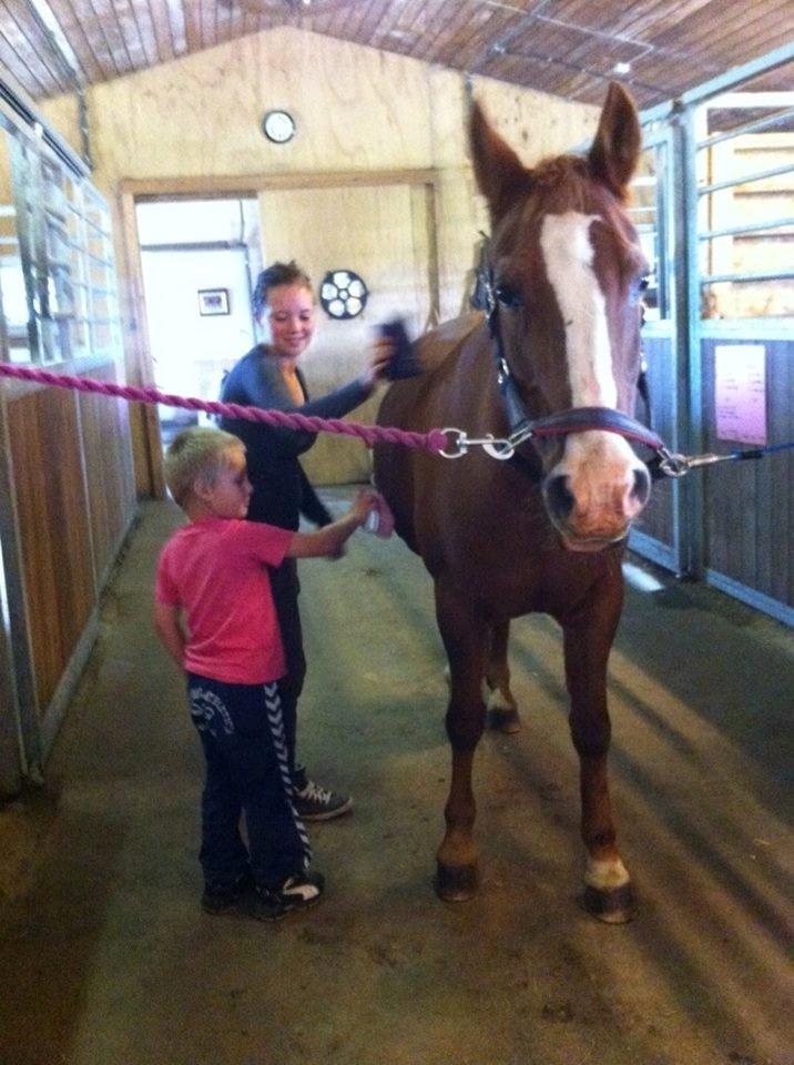 Anden særlig race Cherie <3 billede 6