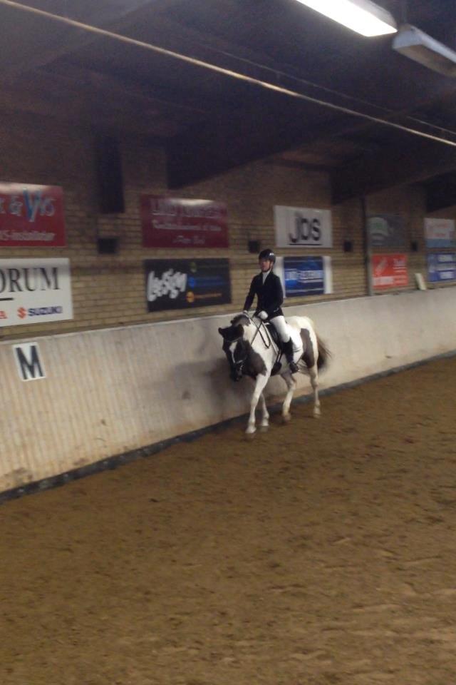 Anden særlig race Fie billede 9