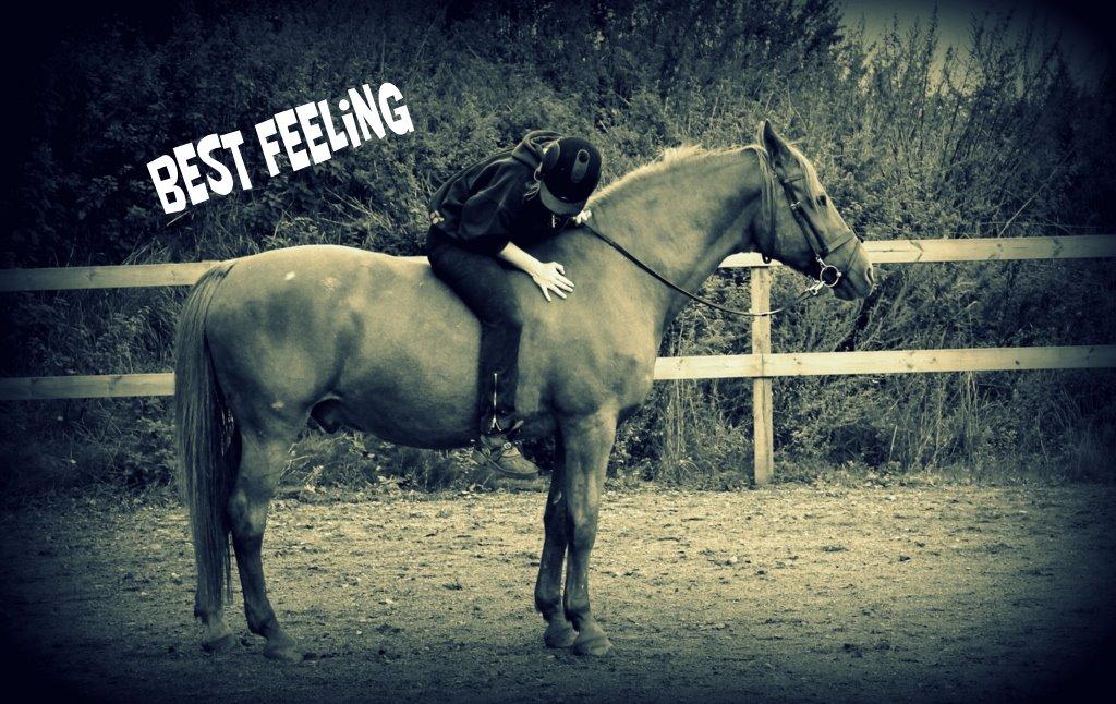 Anden særlig race Axel billede 10