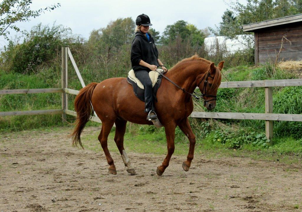 Anden særlig race Axel billede 24