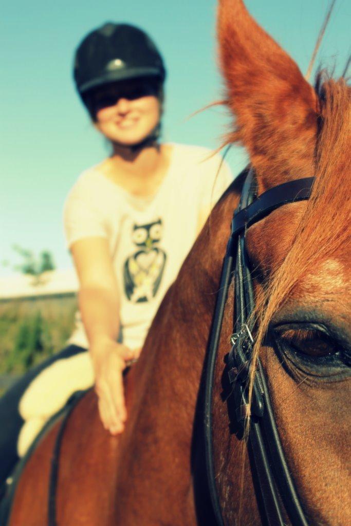 Anden særlig race Axel billede 29