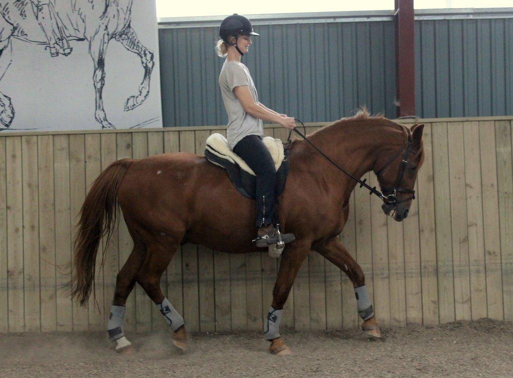 Anden særlig race Axel billede 14