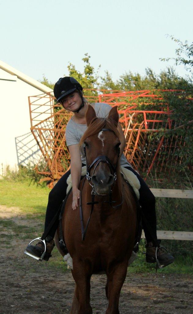 Anden særlig race Axel billede 7