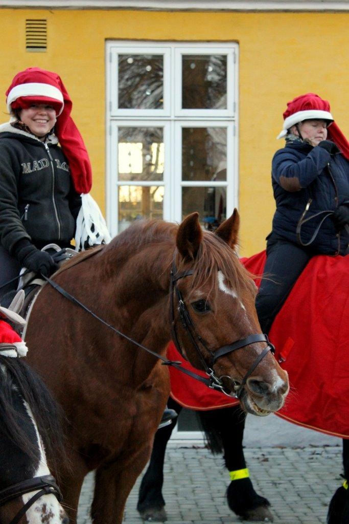 Anden særlig race Axel - Til juleshow med Maja på ryggen :)  billede 31