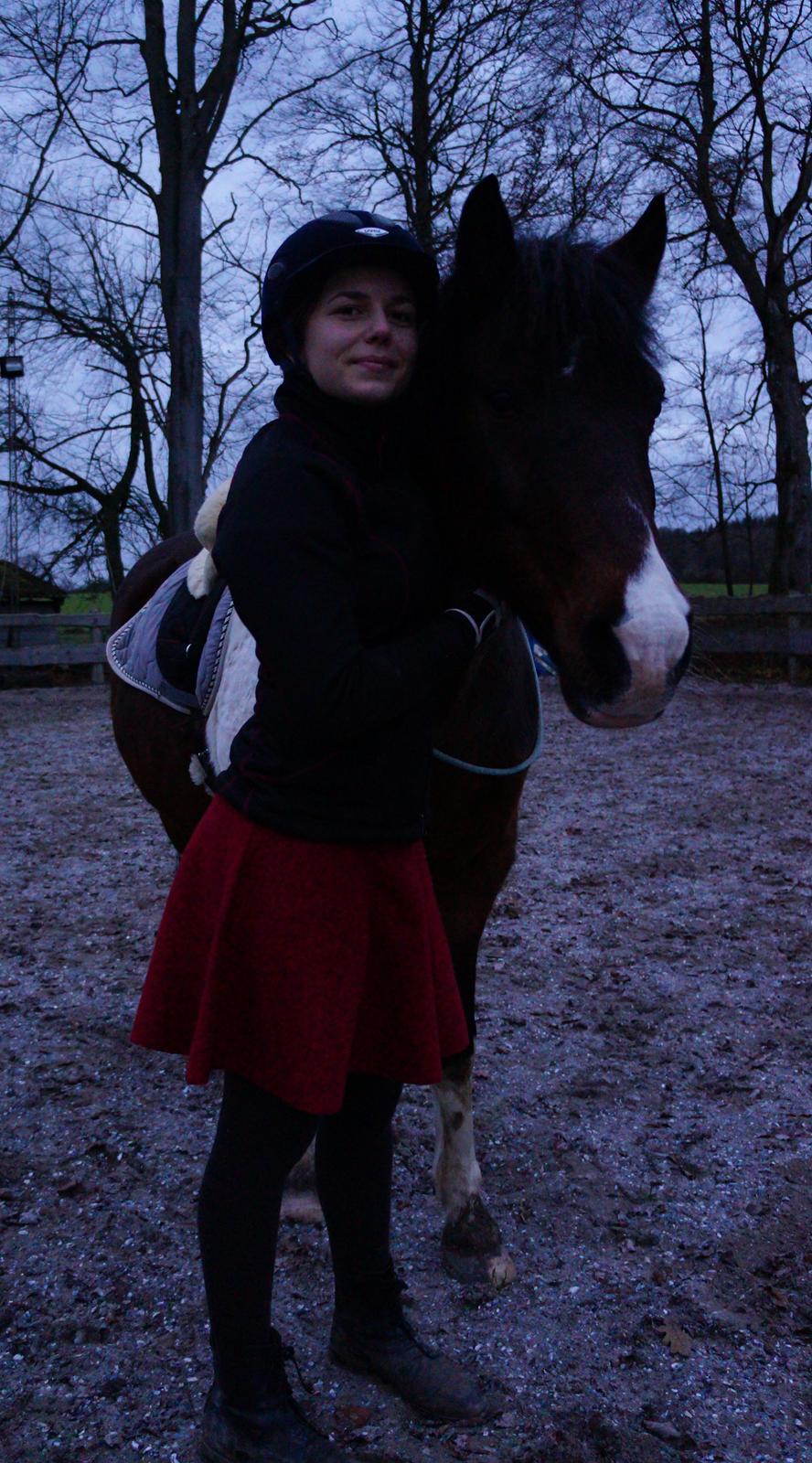 Pinto /Islænder   Futte - November 2014 <3 min smukke hest! billede 10