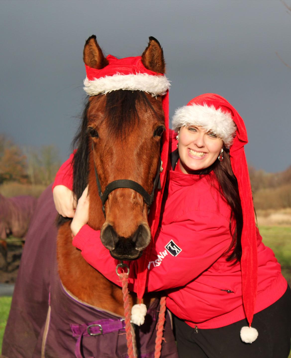 Dansk Varmblod Angel of music (SOLGT) *For evigt elsket <3* - NYT: Jule Angel 2014 :) billede 30