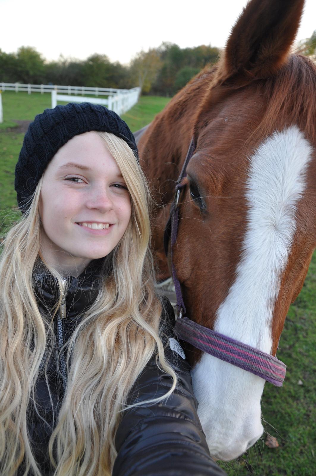 Dansk Varmblod Østerlykkes Frede - Photoshoot på folden! :p Selfie! billede 18