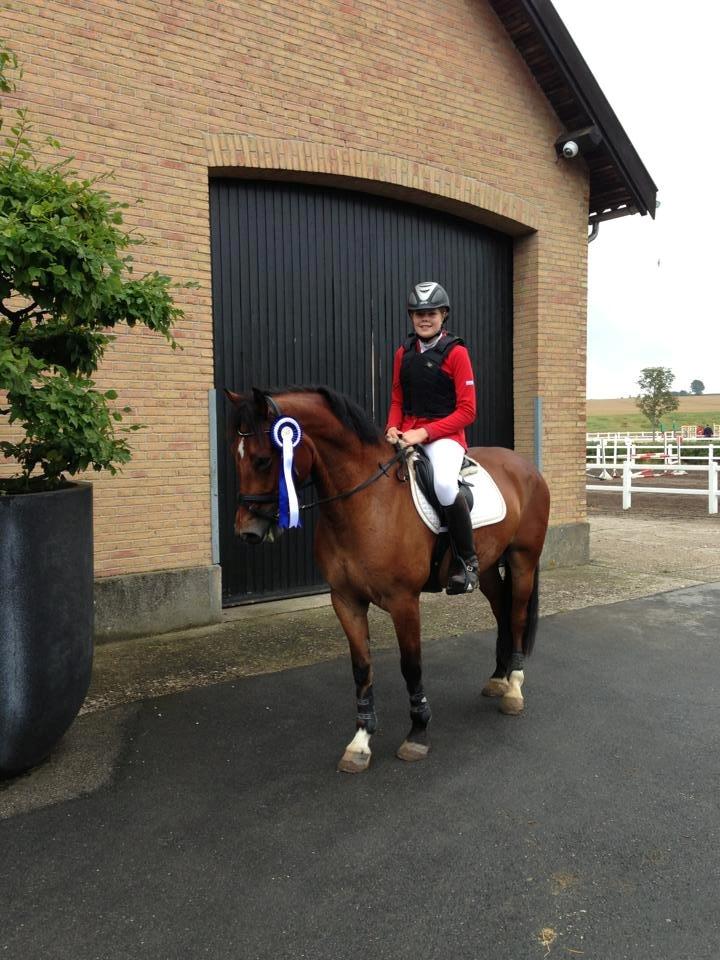 Welsh Cob (sec D) LSH SPIRIOT!<3 - 2. plads i LB, Louiselund c-stævne 2013 <3                              billede 8