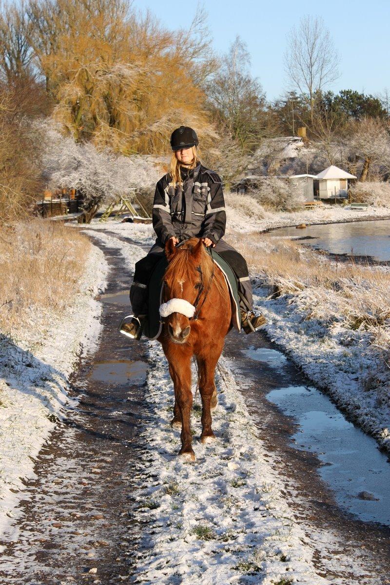 Anden særlig race Axel billede 50