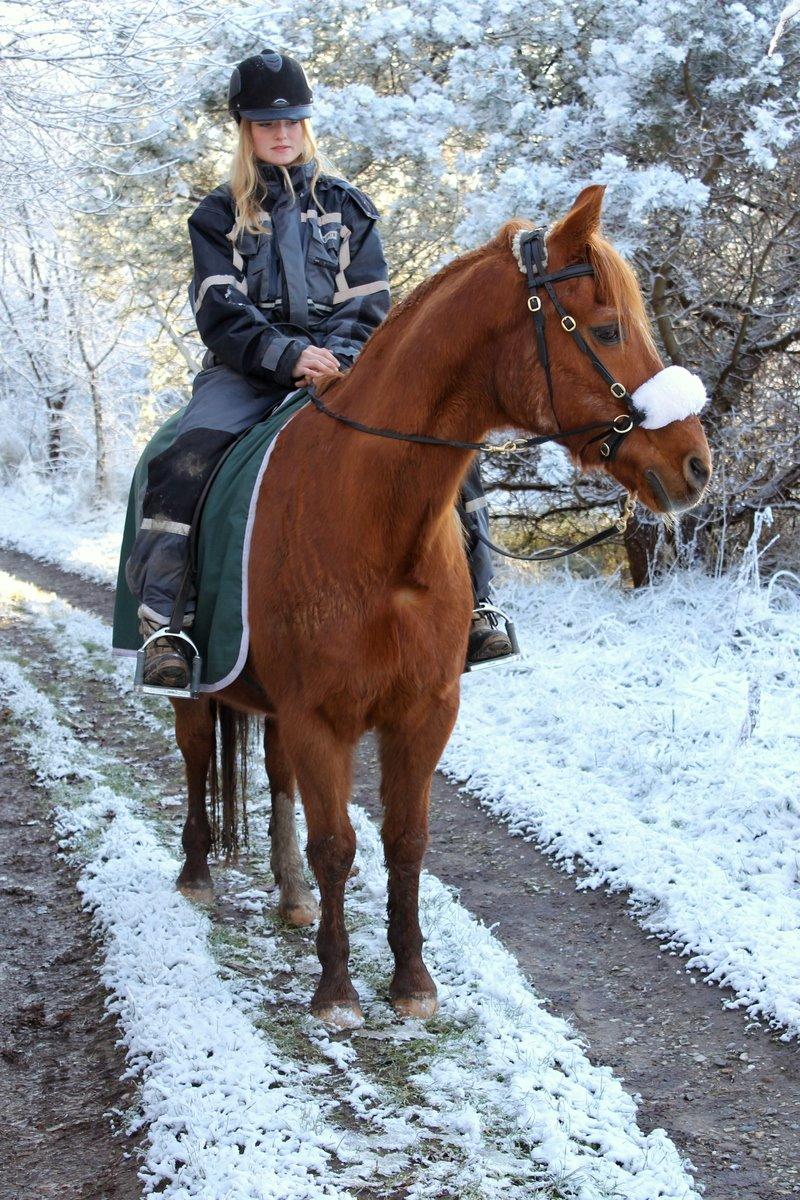 Anden særlig race Axel billede 26