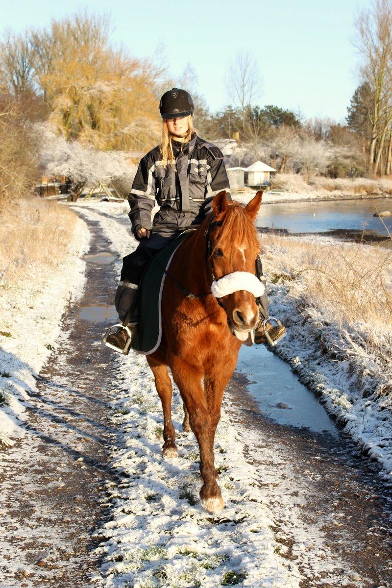 Anden særlig race Axel billede 22