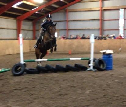 Anden særlig race Siegård's Jolie Marie - 4 gang Jolie springer med rytter, et mini stævne :) 60 cm billede 18