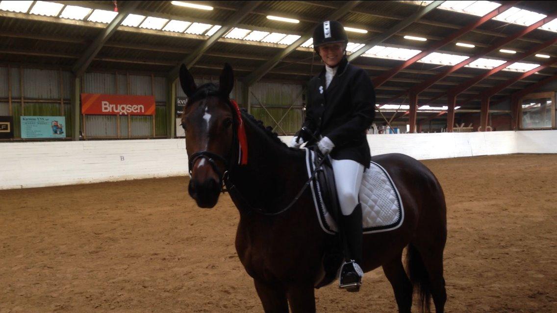 Anden særlig race Siegård's Jolie Marie - Min dygtige hest! billede 20