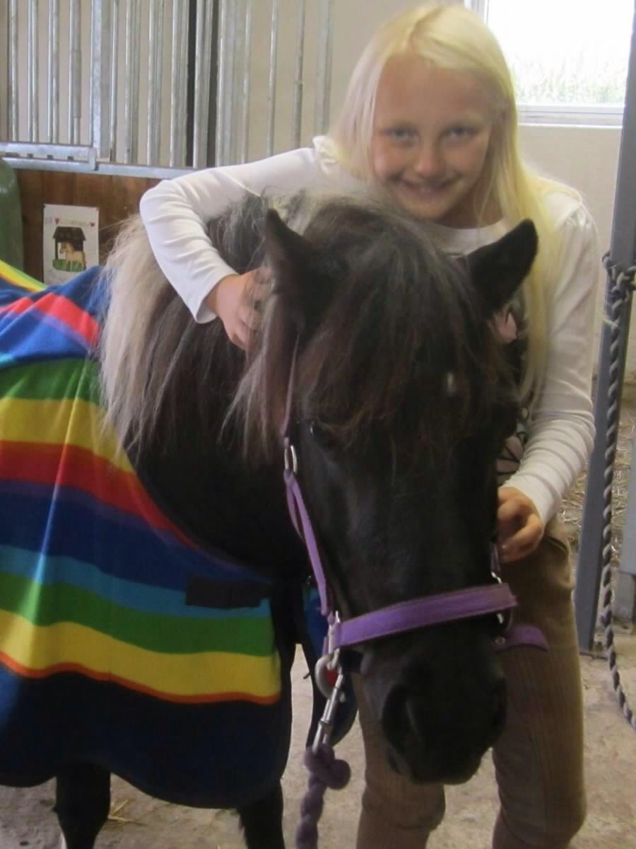 Anden særlig race Mithel billede 3