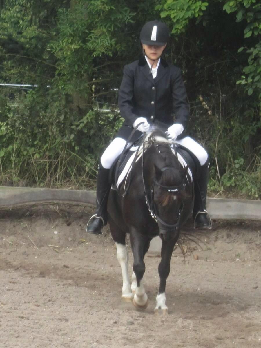 Anden særlig race Mithel billede 5