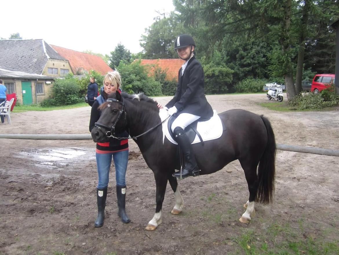 Anden særlig race Mithel billede 6