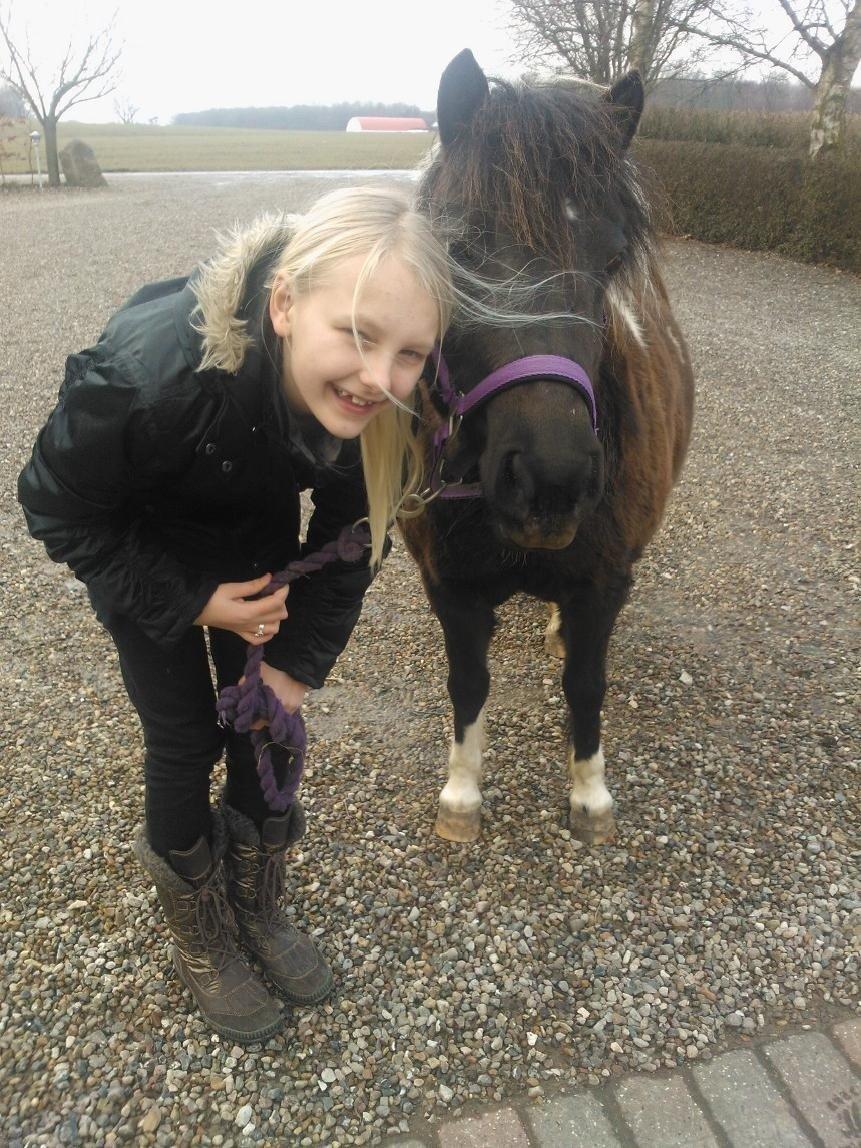 Anden særlig race Mithel billede 7