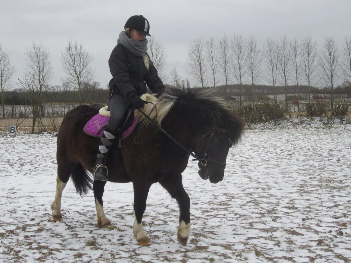 Anden særlig race Mithel billede 8