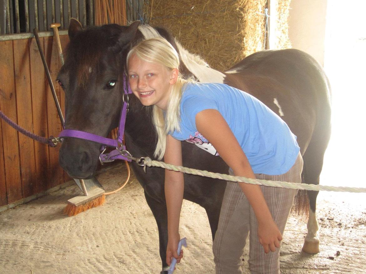 Anden særlig race Mithel billede 11