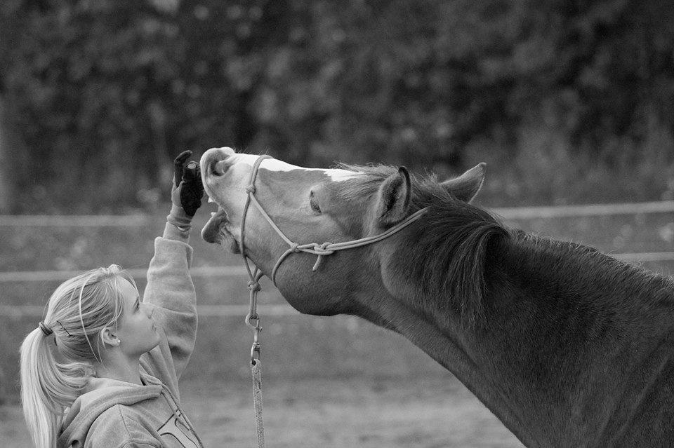 Anden særlig race My soulmate - Wariant <3 billede 14