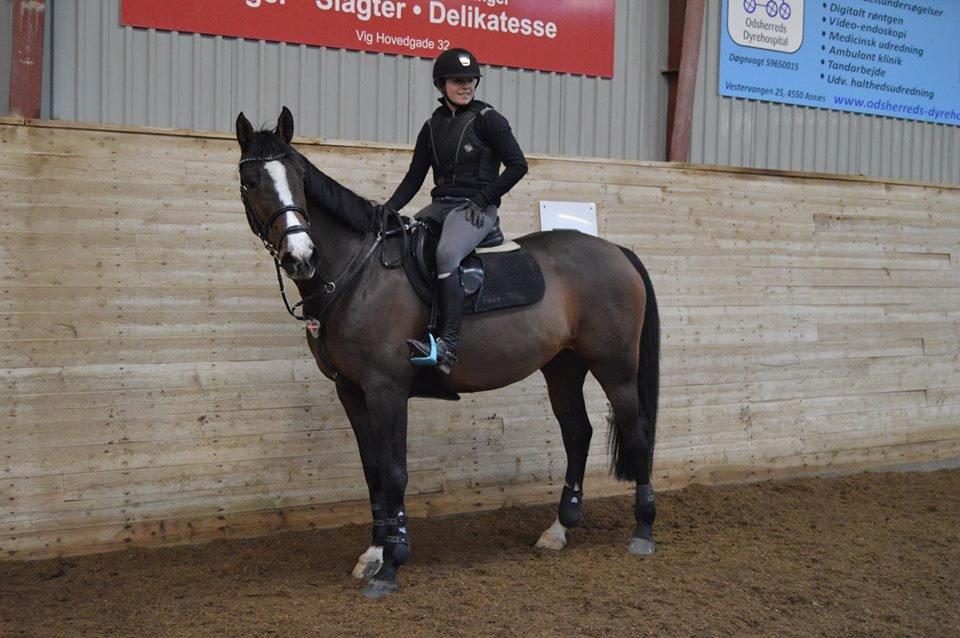 Holstener Wivara II billede 10