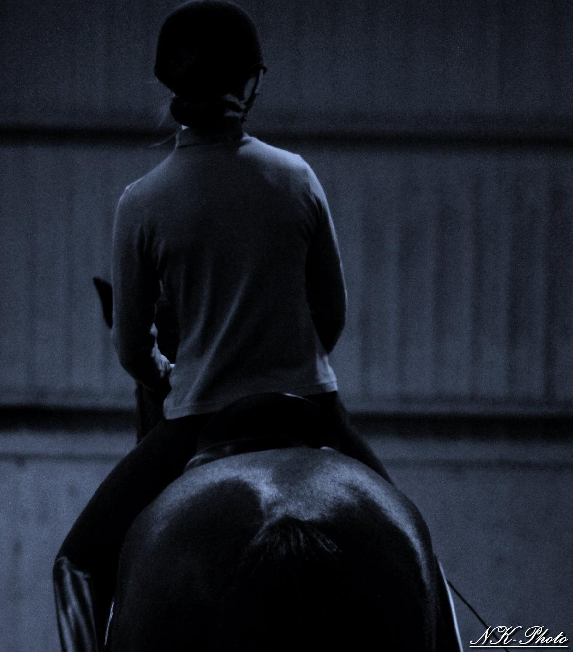 Anden særlig race Chili billede 9