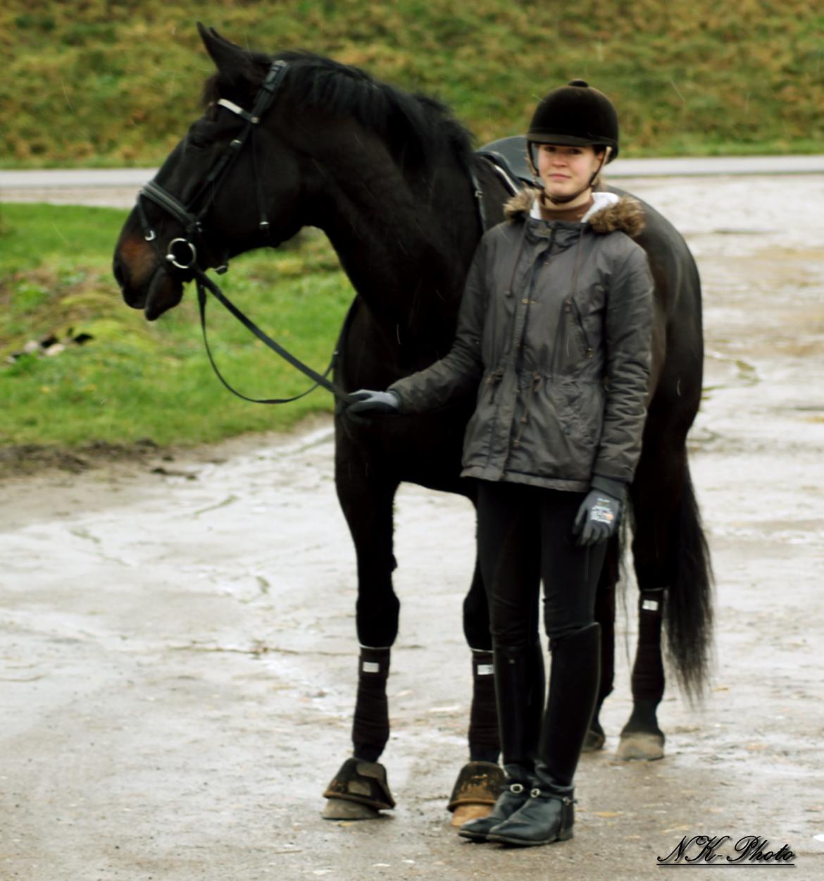 Anden særlig race Chili billede 7