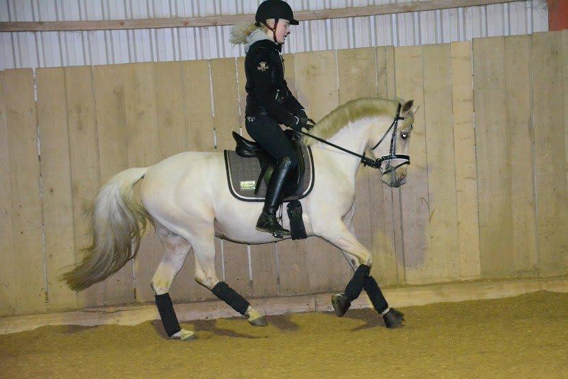 DSP Attention billede 9