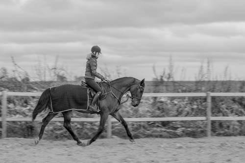 Dansk Varmblod Krogagers Cilla - Dressur træning 25/12-2014 billede 12