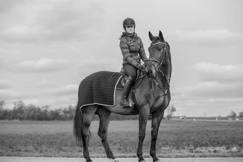 Dansk Varmblod Krogagers Cilla - December 2014 billede 4