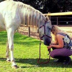 Shagya Araber (SH) Butterhills Khandiz (ejer) - Du og jeg for aldtid. <3 billede 5