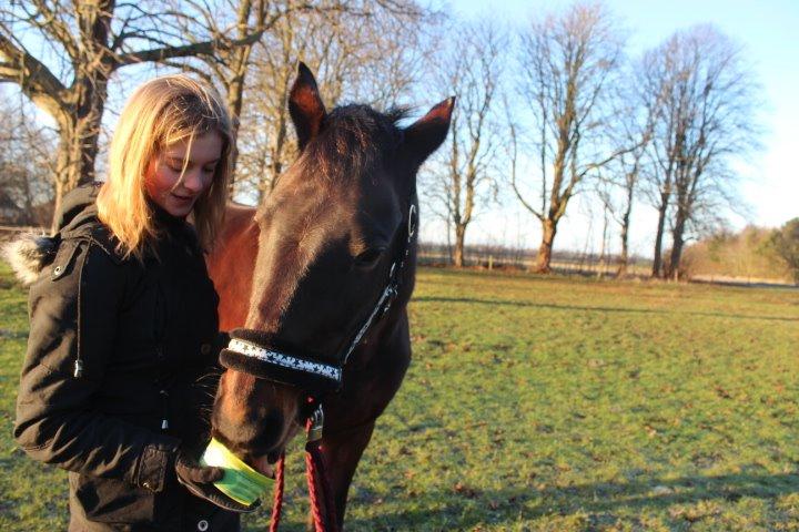 Pinto tell me billede 13