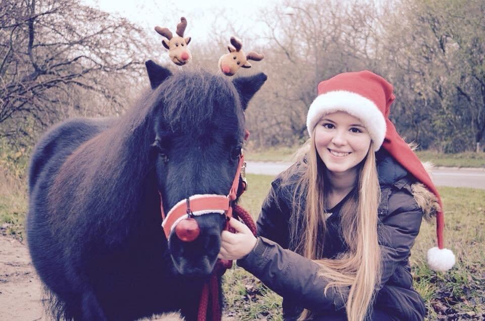 Shetlænder Mejse-mus <3 - Min egen lille rudolf :D <3 billede 4